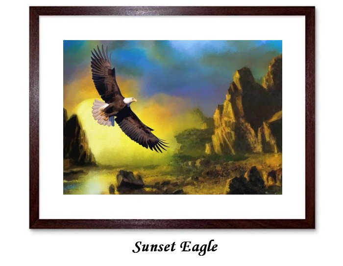 Sunset Eagle Framed Print